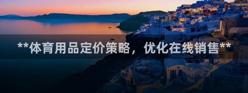 意昂体育3娱乐:**体育用品定价策略,优化在线销售**