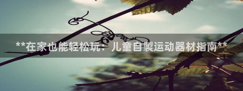 意昂3娱乐首页官网下载:**在家也能轻松玩:儿童自製运动器材