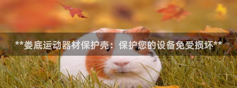 意昂体育3平台注册流程图:**娄底运动器材保护壳:保护您的设