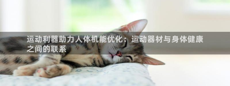 意昂体育3招商电话地址查询:运动利器助力人体机能优化:运动器